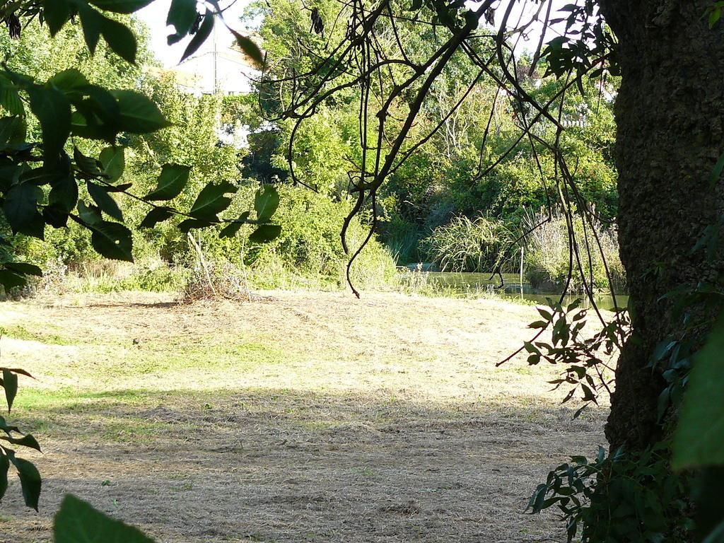 Les Plenitudes Du Rivage Villa Saint-Vincent-sur-Jard Buitenkant foto