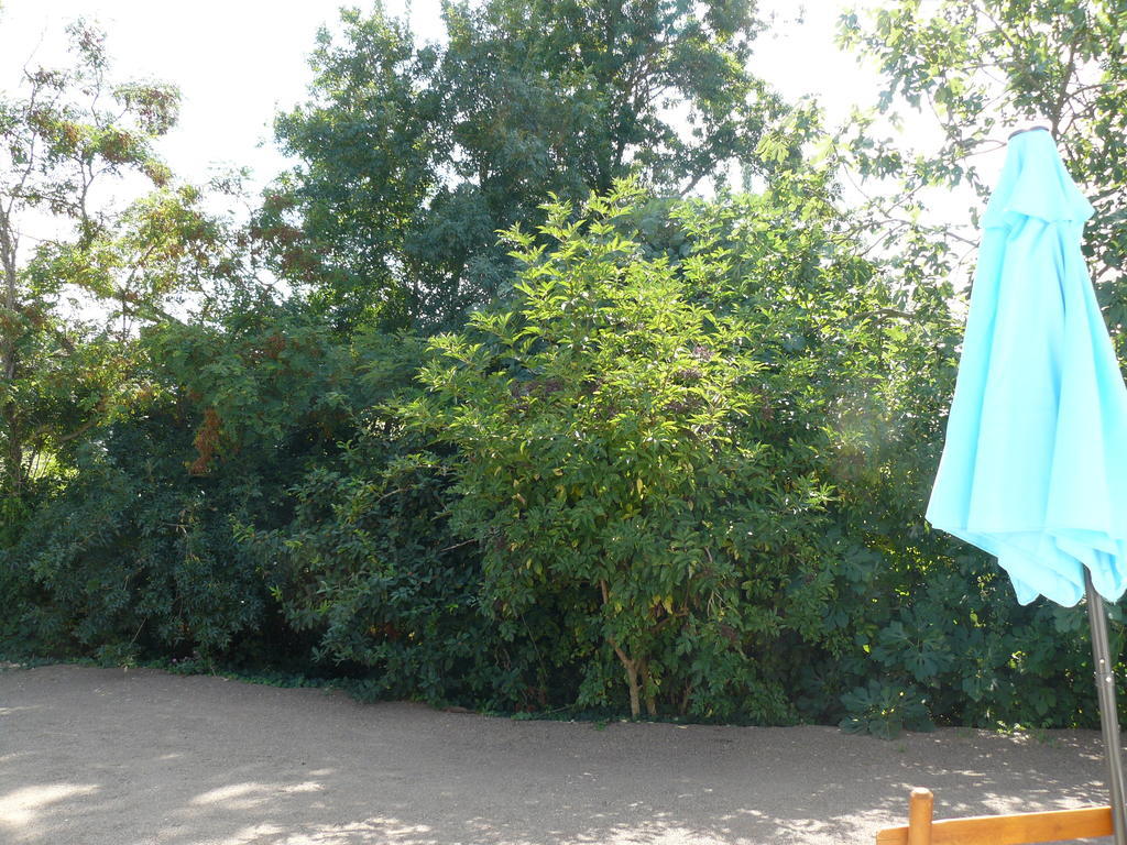 Les Plenitudes Du Rivage Villa Saint-Vincent-sur-Jard Buitenkant foto